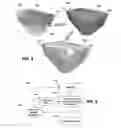 Fig. 06 - GENERATION OF STRUCTURAL ELEMENTS FOR SUBSURFACE FORMATION USING STRATIGRAPHIC IMPLICIT FUNCTION