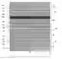 Fig. 01 - Substrate provided with a stack having thermal properties