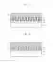 Fig. 07 - Polarizer, display panel including the same and method of manufacturing the same