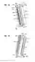 Fig. 14 - Rack and chassis for fiber optic sliding adapter modules