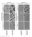 Fig. 04 - Simple, Fast and Plasma-Free Method of Fabricating PDMS Microstructures on Glass by Pop Slide Pattering