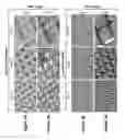 Fig. 06 - Simple, Fast and Plasma-Free Method of Fabricating PDMS Microstructures on Glass by Pop Slide Pattering