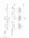 Fig. 05 - HEAD-UP DISPLAY APPARATUS AND CONTROLLING METHOD THEREOF