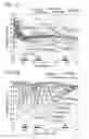 Fig. 03 - Optical device and display apparatus