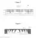 Fig. 03 - Polarization-dependent lens structure and method of manufacturing the same