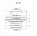 Fig. 12 - Liquid crystal display and method for manufacturing the same