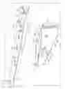 Fig. 03 - DISPLAY DEVICE AND TELEVISION RECEIVER
