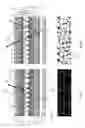Fig. 05 - Electrophoretic insulated glass unit