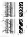 Fig. 08 - Electrophoretic insulated glass unit
