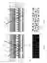 Fig. 13 - Electrophoretic insulated glass unit