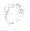 Fig. 05 - USER SECURED WRIST STRAP FOR CAMERA