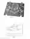 Fig. 06 - Sloped electrode element for a torsional spatial light modulator