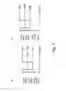 Fig. 03 - Image forming apparatus