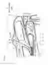 Fig. 05 - Image forming apparatus