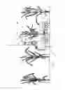 Fig. 19 - Robotic platform and method for performing multiple functions in agricultural systems