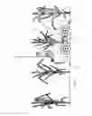 Fig. 21 - Robotic platform and method for performing multiple functions in agricultural systems