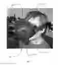Fig. 03 - Sensory feedback systems and methods for guiding users in virtual reality environments