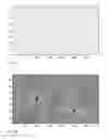 Fig. 04 - Touch determination with signal enhancement