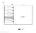 Fig. 05 - NON-HIERARCHIAL INPUT DATA DRIVENDYNAMIC NAVIGATION