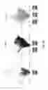 Fig. 11 - Methods and systems for determining hardware sizing for storage array systems