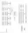 Fig. 16 - Deterministically sharing a plurality of processing resources