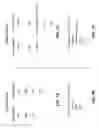 Fig. 19 - Automated generation of cloned production environments