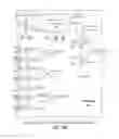 Fig. 32 - In-flight packet processing