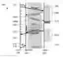 Fig. 01 - METHODS AND SYSTEMS FOR NOTICING COMPLETION OF READ REQUESTS IN SOLID STATE DRIVES