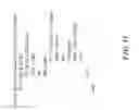 Fig. 12 - Simultaneous edge toggling immunity circuit for multi-mode bus