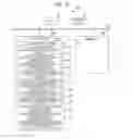 Fig. 13 - TRANSLATION DEVICE, TRANSLATION METHOD, AND NON-TRANSITORY COMPUTER READABLE RECORDING MEDIUM HAVING THEREIN TRANSLATION PROGRAM