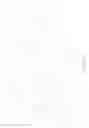 Fig. 04 - Quantifying social capital
