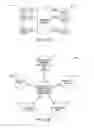 Fig. 12 - Computerized sharing of digital asset localization between organizations