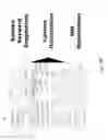 Fig. 07 - Systems and methods for semantic keyword analysis