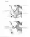Fig. 12 - Obtaining an Improved Therapeutic Ligand