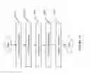 Fig. 02 - Systems and methods for spoof detection in iris based biometric systems