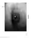 Fig. 05 - Systems and methods for spoof detection in iris based biometric systems