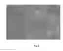 Fig. 03 - System and method for identifying trees