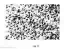 Fig. 05 - System and method for identifying trees