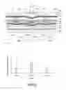 Fig. 10 - Underlay body for acquisition of handwriting information