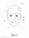 Fig. 13 - Electronic device, and method for analyzing face information in electronic device