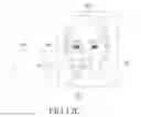 Fig. 19 - Electronic device, and method for analyzing face information in electronic device