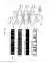 Fig. 15 - HUMAN BODY PART DETECTION SYSTEM AND HUMAN BODY PART DETECTION METHOD