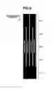 Fig. 07 - Image forming apparatus and method for controlling the same