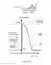 Fig. 11 - Neuromorphic synapses