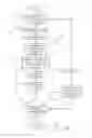 Fig. 07 - System and Method for Securing an Architectural Environment Against Crime and Minimizing Criminal Elements
