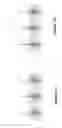Fig. 08 - Apparatus and method for quantum processing