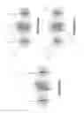 Fig. 09 - Apparatus and method for quantum processing