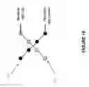 Fig. 11 - Apparatus and method for quantum processing