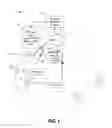 Fig. 02 - Motion Tracking Wearable Element and System