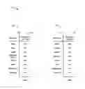 Fig. 01 - Methods and apparatus to identify publisher advertising behavior
